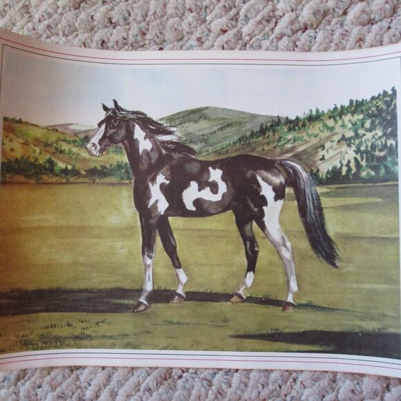 Jeanne Mellin Other - Vtg 1949 Black and White Pinto Western Horse Art Print by Jeanne Mellin 9”x12”